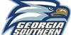 Georgia Southern Flags