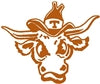 Texas Longhorns Flags