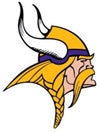 Minnesota Vikings Flags