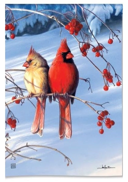 Cardinals In Snow Winter Garden Flag