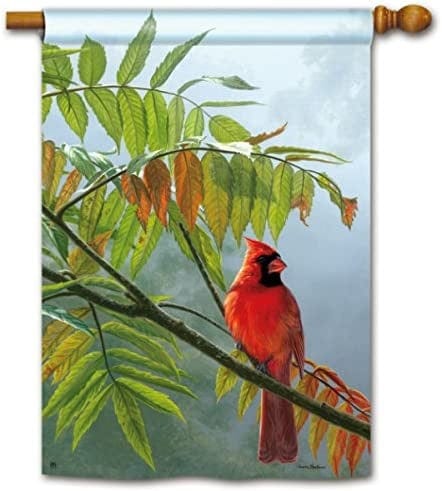 Redbird Flag 2 Sided Vertical House Banner Fall heartlandflags