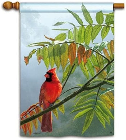 Redbird Flag 2 Sided Vertical House Banner Fall heartlandflags