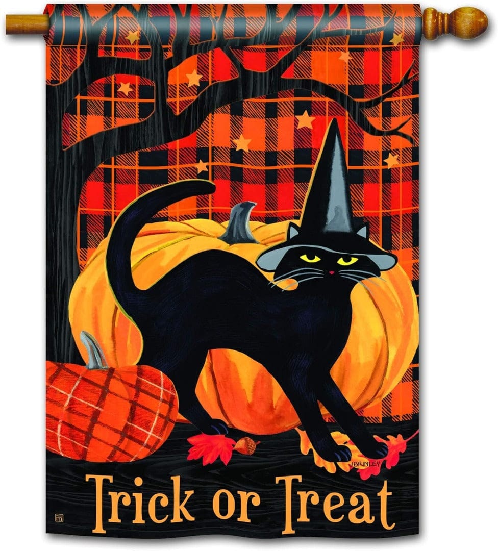 Witch Hat Cat Halloween Banner 2 Sided Vertical House Flag heartlandflags