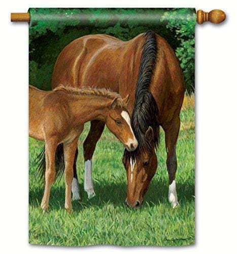 Horses Grazing Flag 2 Sided Vertical House Banner heartlandflags