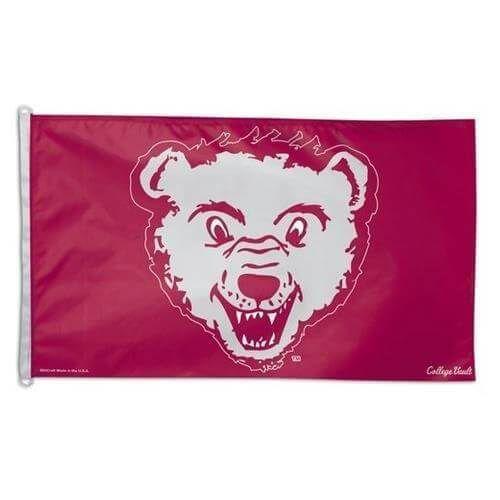 Montana Grizzlies Flag 3x5 Vault Throwback Logo heartlandflags