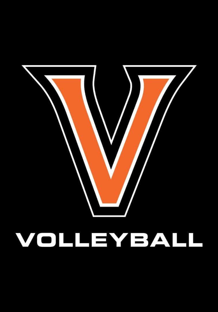 Valley Tigers Volleyball House Flag 2 Sided Pole Sleeve heartlandflags