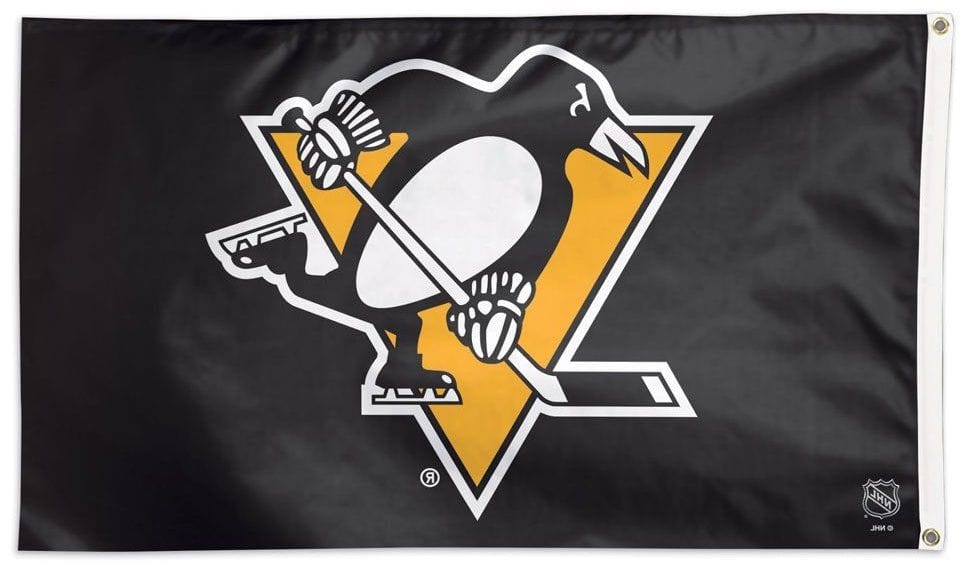 Pittsburgh Penguins Flag 3x5 Logo heartlandflags